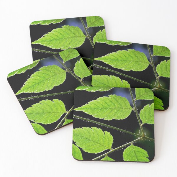 Item preview, Nature's geometry designed and sold by Art in Nature.