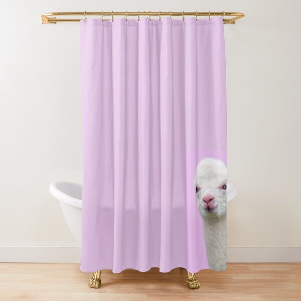 Baby Alpaca with pink background Shower Curtain