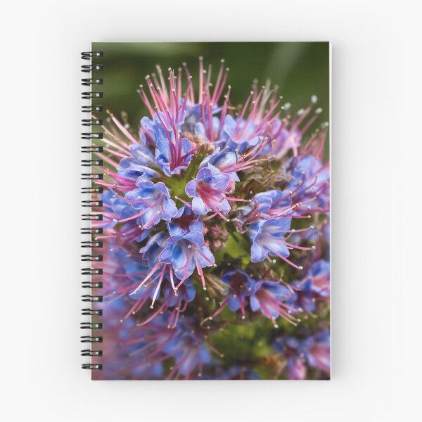 Item preview, Pride of Madeira designed and sold by Art in Nature.