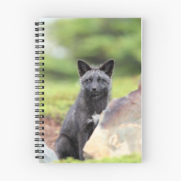 Item preview, Silver Fox Kit designed and sold by mlorenz.