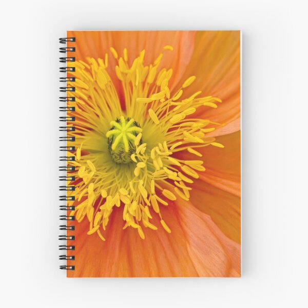 Item preview, Sunshine poppy designed and sold by Art in Nature.