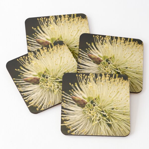 Item preview, Lemon bottlebrush bloom designed and sold by Art in Nature.