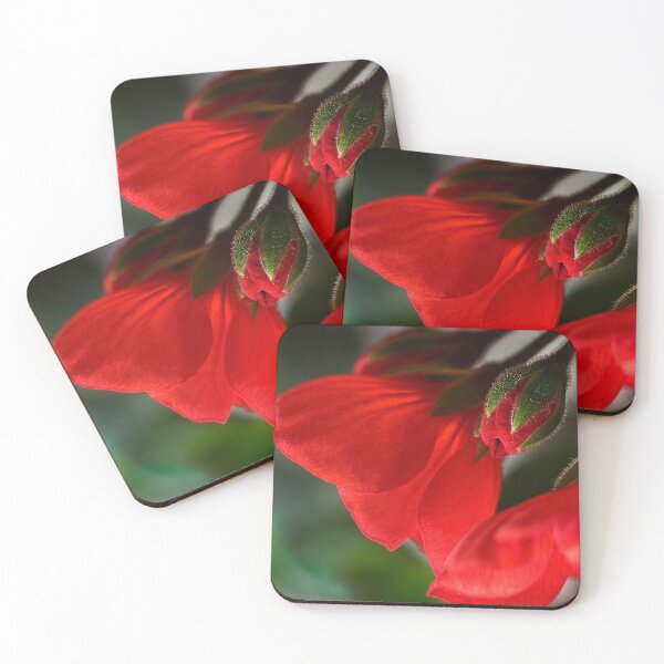 Item preview, New geraniums designed and sold by Art in Nature.