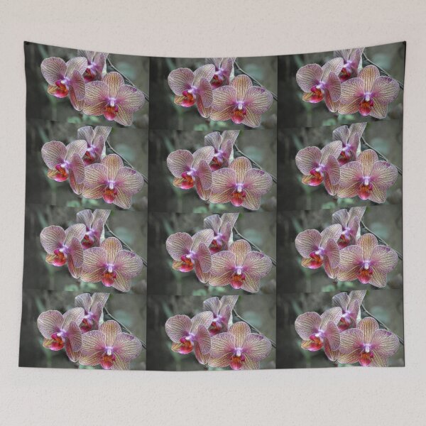Item preview, Orchids - Tropical Epiphytic designed and sold by Savannah Gibbs.