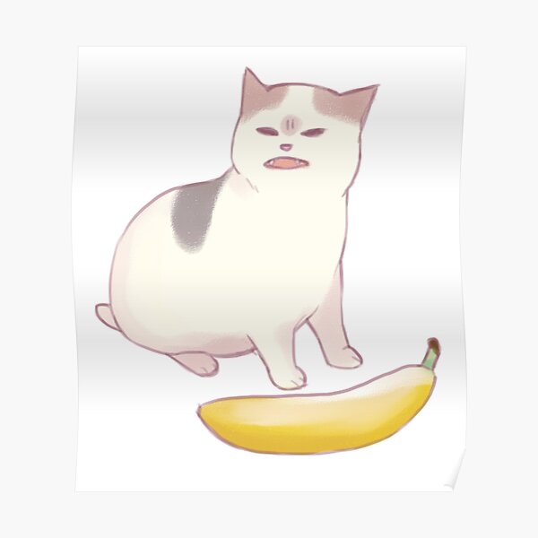 Banana Cat Meme