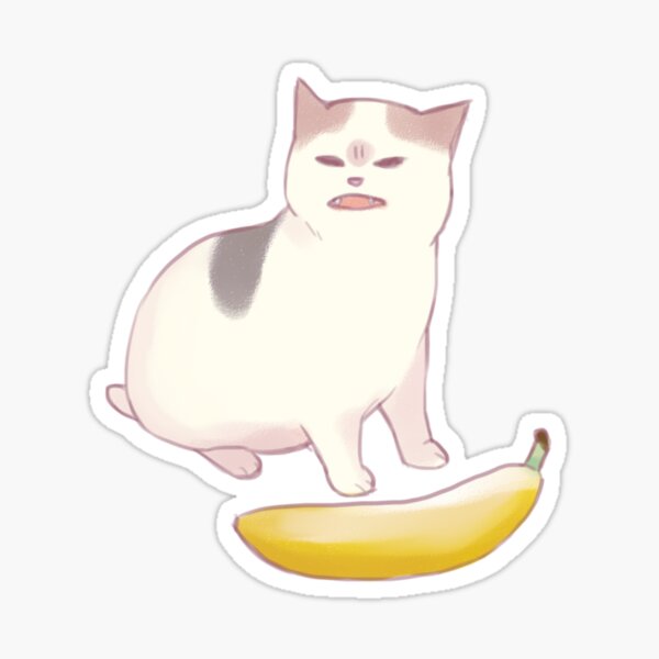 Cat No Banana Angry Cat Meme - Cat No Banana - Posters and Art Prints