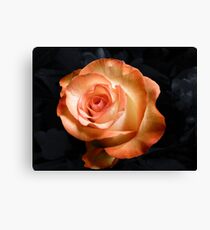 Selected Canvas Print