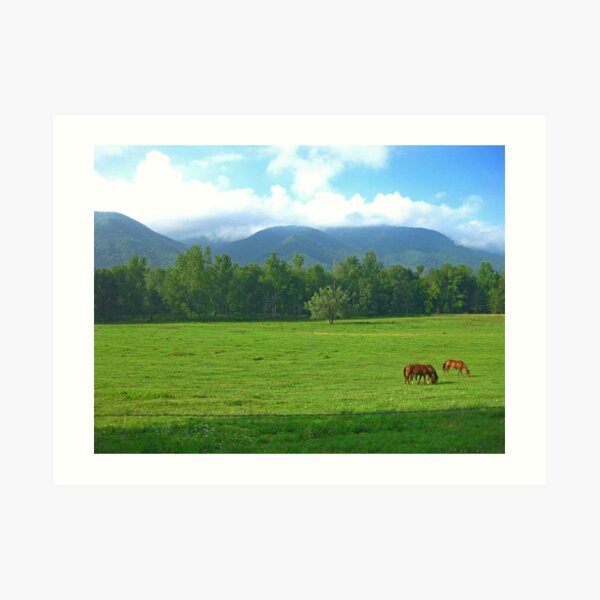 Horses in the Valley - Cades Cove Art Print