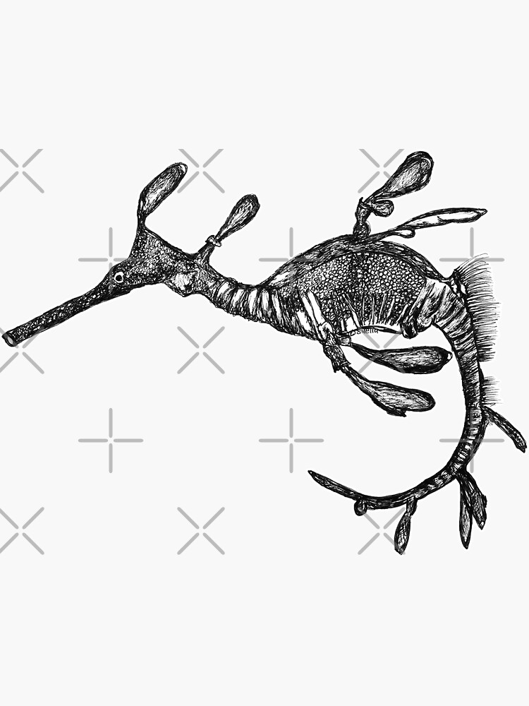 Pee-Jay the Baby Weedy Sea Dragon by Wildcard-Sue