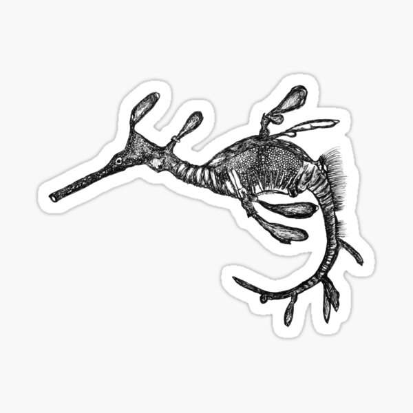 Pee-Jay the Baby Weedy Sea Dragon Sticker