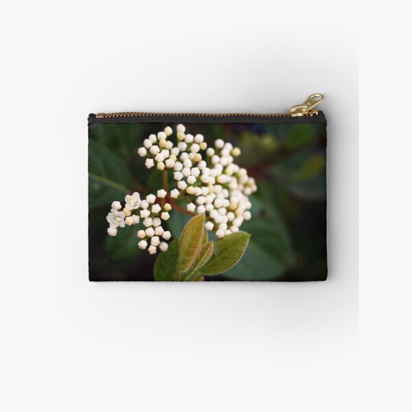 Item preview, Flowers of Assisi, Star designed and sold by ADWarrick.
