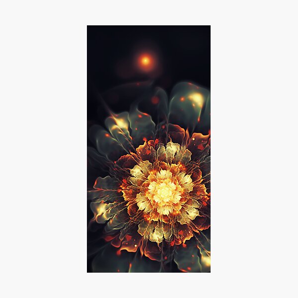 Blooming Heat Photographic Print