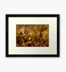 small world Framed Print