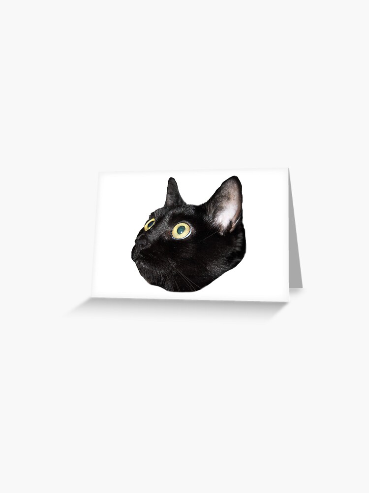 Black Cat Face Greeting Cards