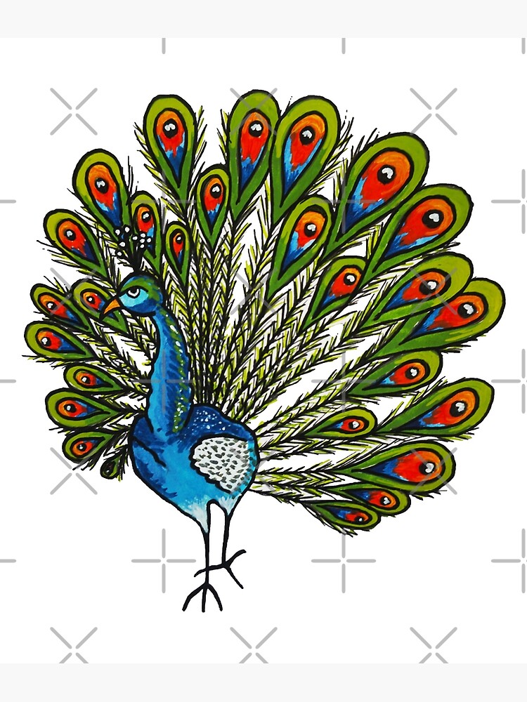 Drawing - Peacock Drawing - CleanPNG / KissPNG