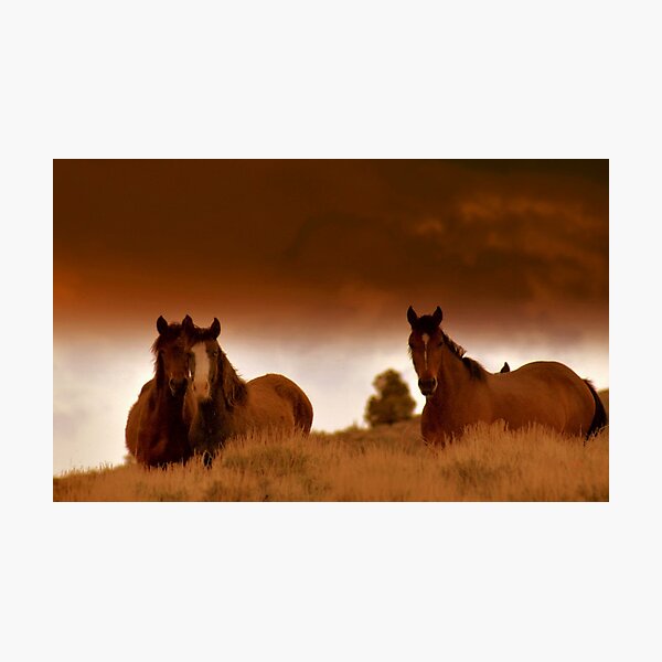 Follow Your Heart Photographic Print