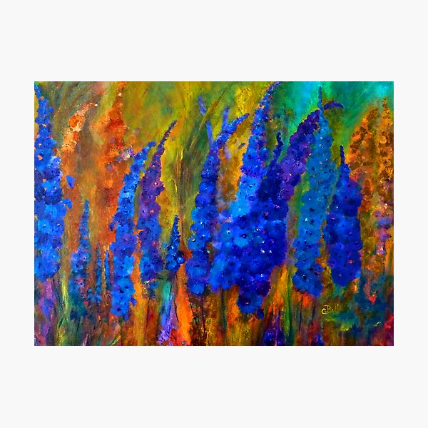 Delphiniums Photographic Print