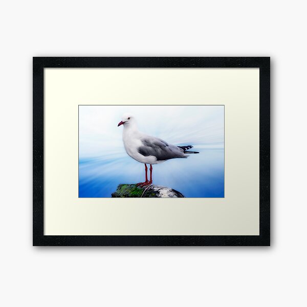 The Seagull Framed Art Print