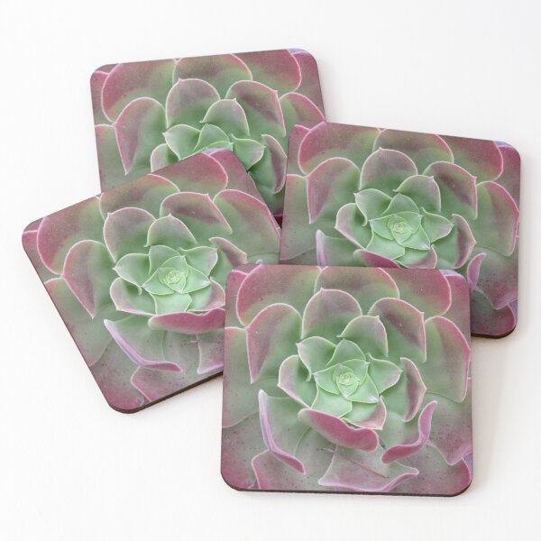Item preview, Colourful Succulent designed and sold by Honey Myrtle Studio.