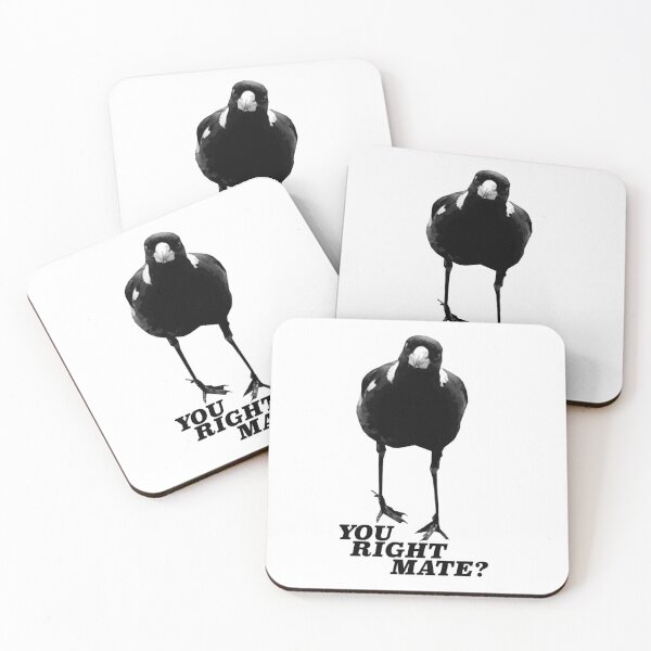 Magpie Season Coasters (Set of 4)