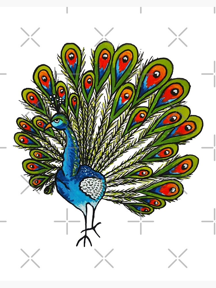 How to draw a big beautiful peacock! #peacock #birds #bird #drawingtut... |  How To Draw | TikTok
