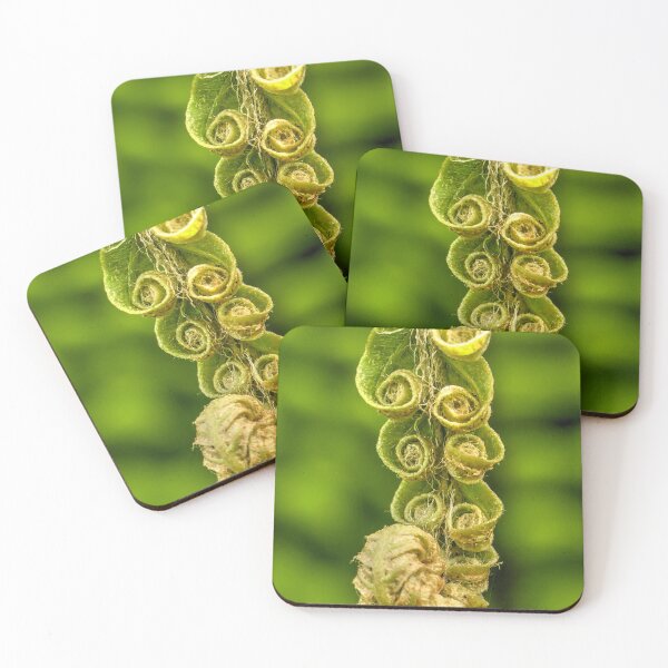 Item preview, Fern of New Zealand designed and sold by SACRED NATURE DESIGNS.