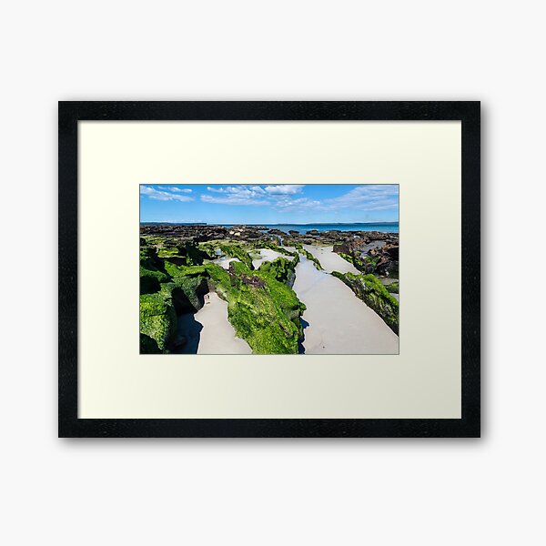 Plantation Point 1 Spring 2017 Framed Art Print