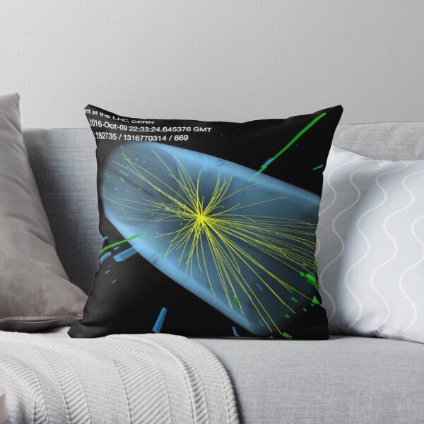 What exactly is the Higgs boson? Have physicists proved that it really exists? Throw Pillow