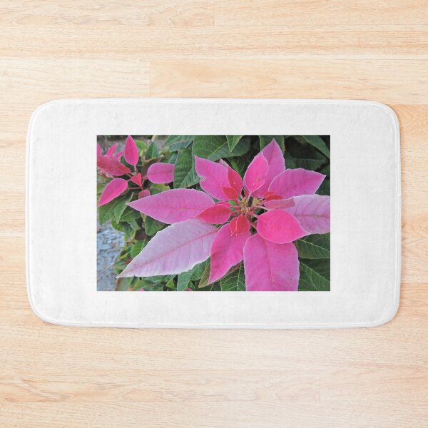 Item preview, Pink Poinsettia designed and sold by Graeme  Hyde.