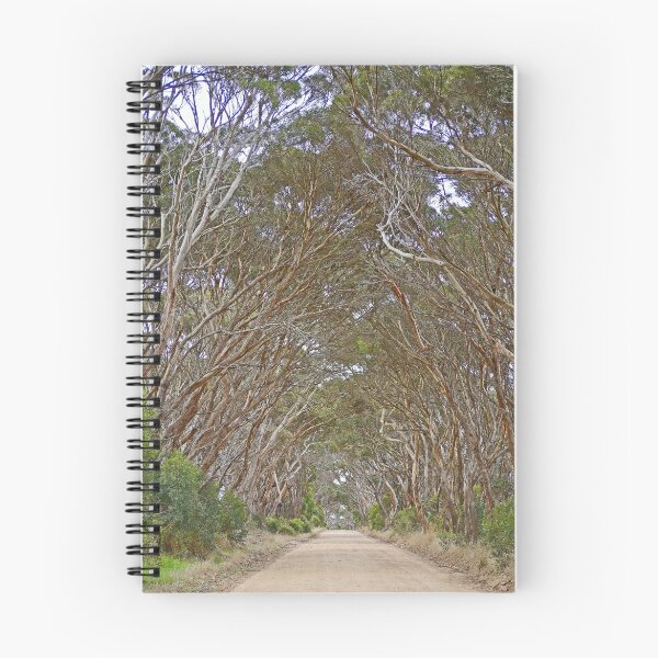 Artikelvorschau, Korridor von Bäumen, Känguru-Insel, Süd-Australien entworfen und verkauft von Margaret  Hyde.