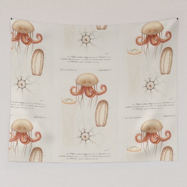 Artikelvorschau, Jellyfish species vintage illustration entworfen und verkauft von Vintage Designs +.