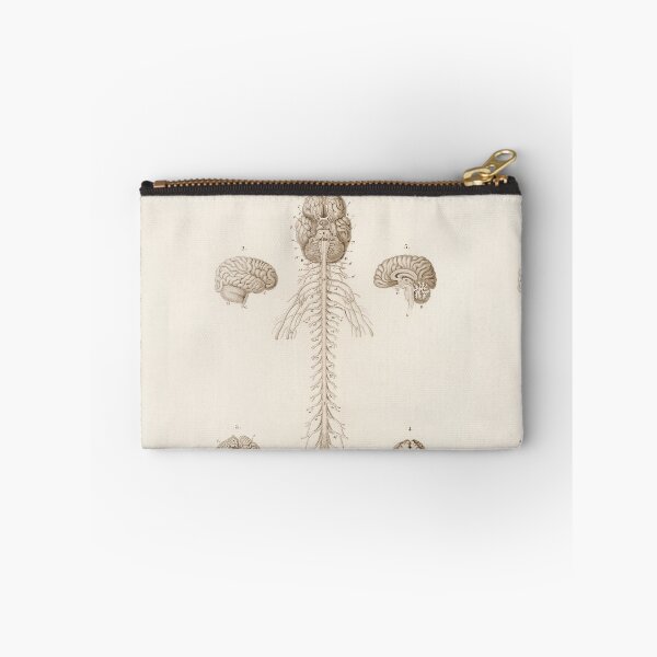 Item preview, Brain and nervous system vintage anatomical illustration  designed and sold by Vintage Designs +.