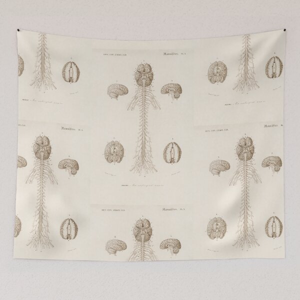 Item preview, Brain and nervous system vintage anatomical illustration  designed and sold by Vintage Designs +.