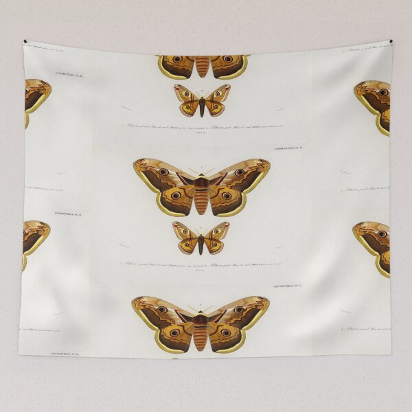 Item preview,  Moth vintage illustration  designed and sold by Vintage Designs +.