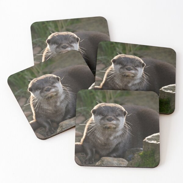 Item preview, Otter designed and sold by rawshutterbug.