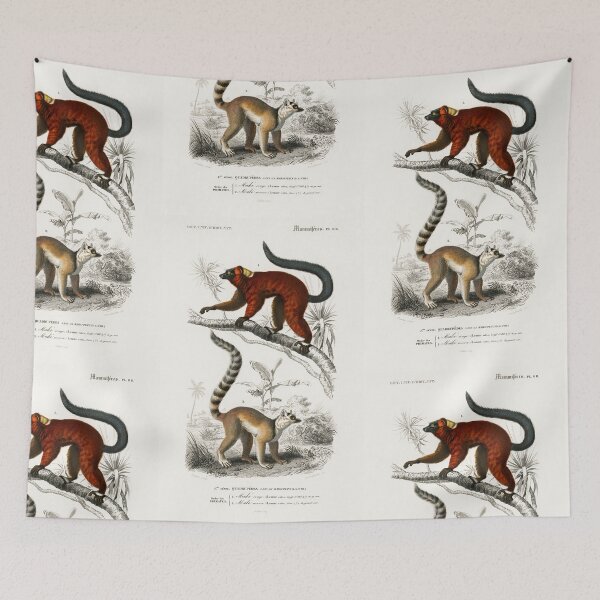 Artikelvorschau, Lemuren Vintage Illustration entworfen und verkauft von Vintage Designs +.