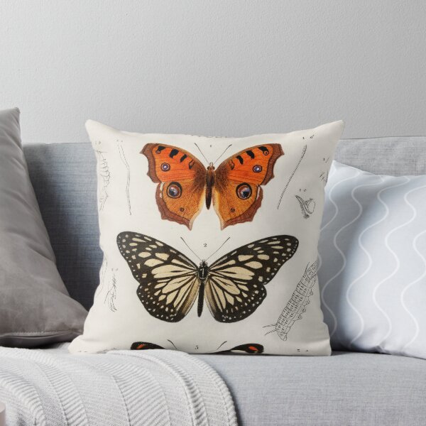 Artikelvorschau, Butterfly species vintage illustration  entworfen und verkauft von Vintage Designs +.