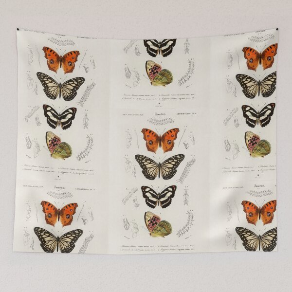 Artikelvorschau, Butterfly species vintage illustration entworfen und verkauft von Vintage Designs +.