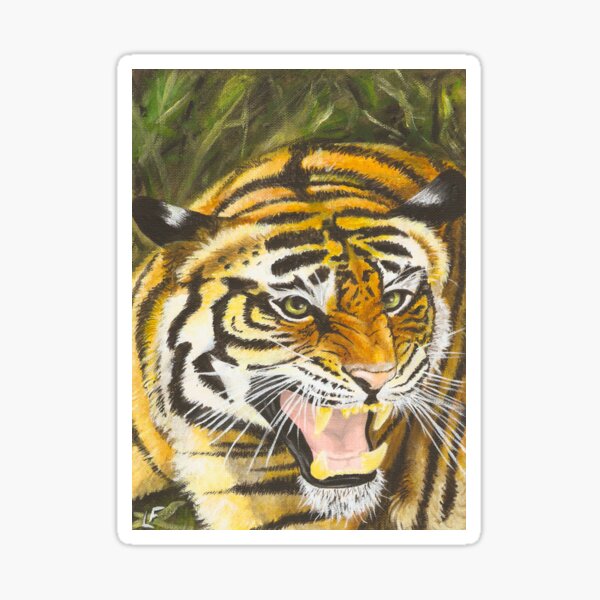 Tigre Sticker