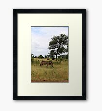 Kruger wildlife Framed Print