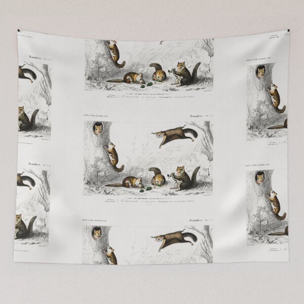 Artikelvorschau, Flying Squirrels vintage illustration entworfen und verkauft von Vintage Designs +.