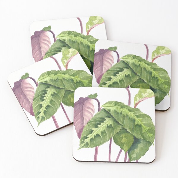 Item preview, Calathea in watercolor designed and sold by cindybarillet.