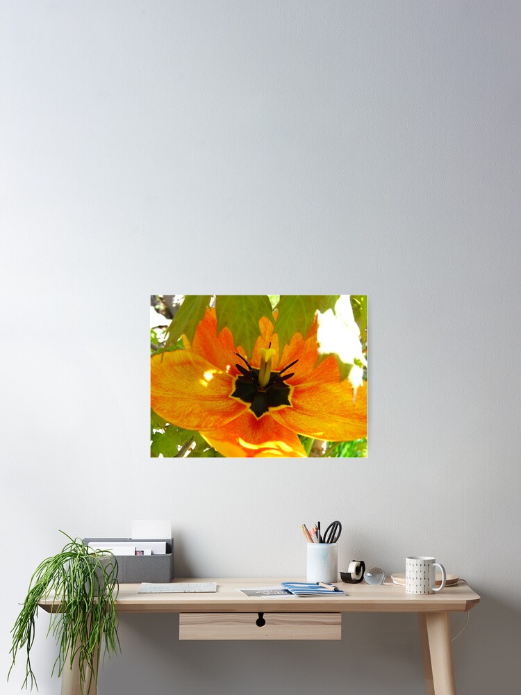 Thumbnail 2 of 3, Poster, Deep Spring designed and sold by MarianBendeth.