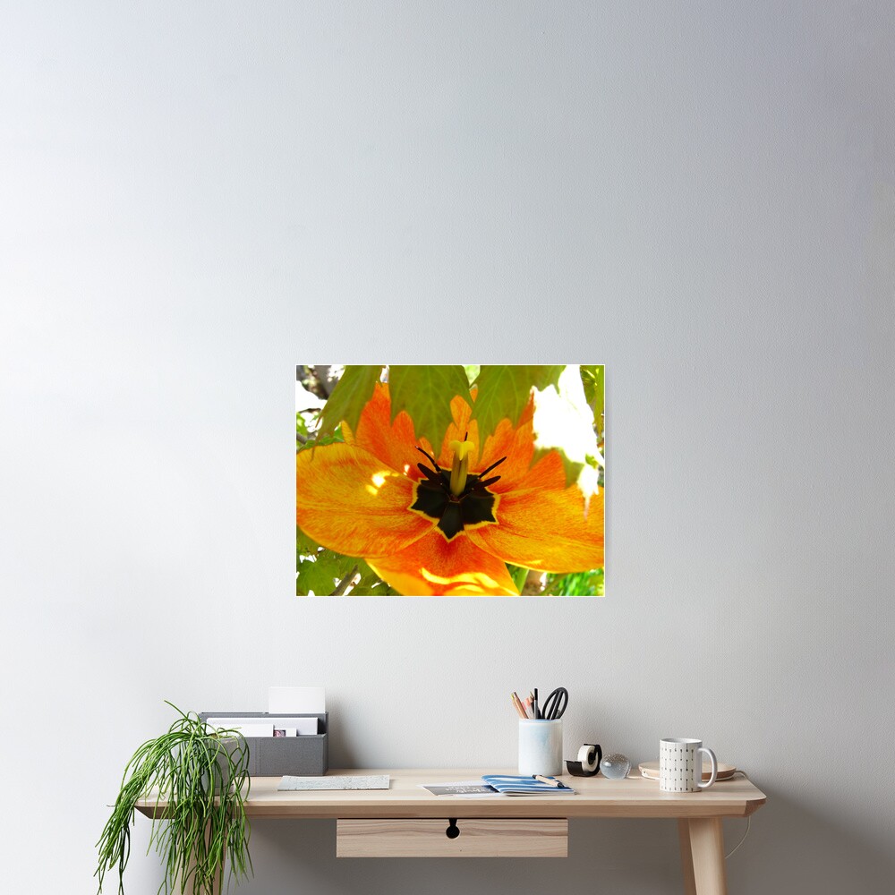 Item preview, Poster designed and sold by MarianBendeth.