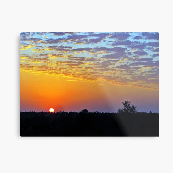 African Sunrise Metal Print