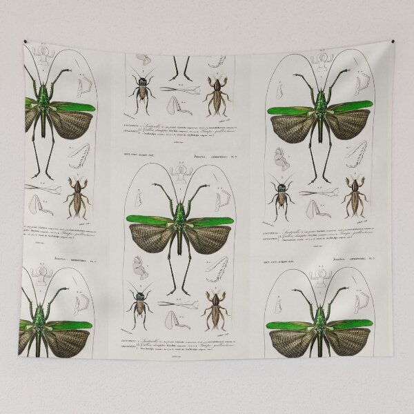 Item preview, Beetle bug vintage illustration  designed and sold by Vintage Designs +.