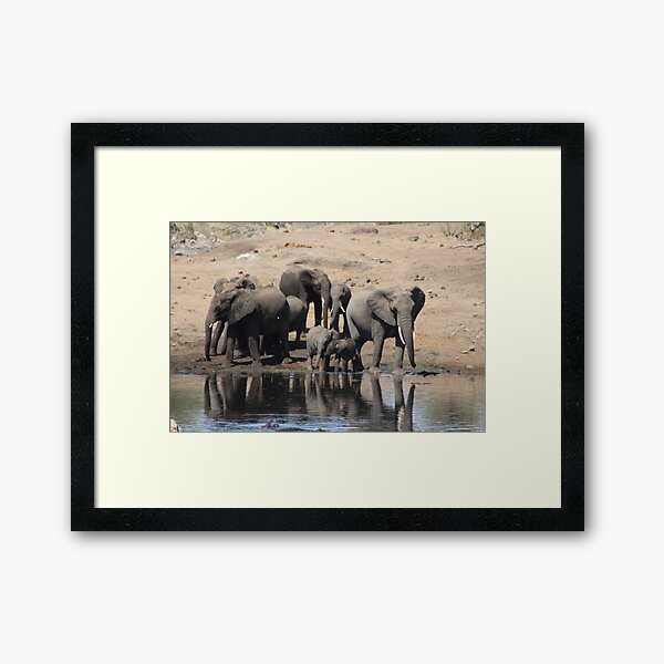 Elephant Herd Framed Art Print