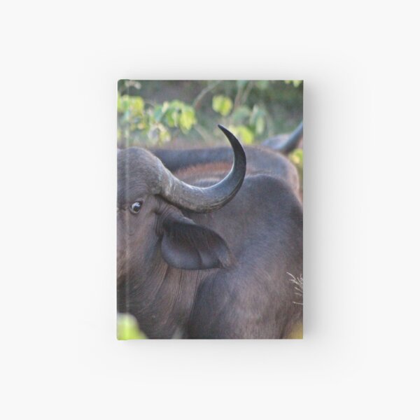 Buffalo Hardcover Journal