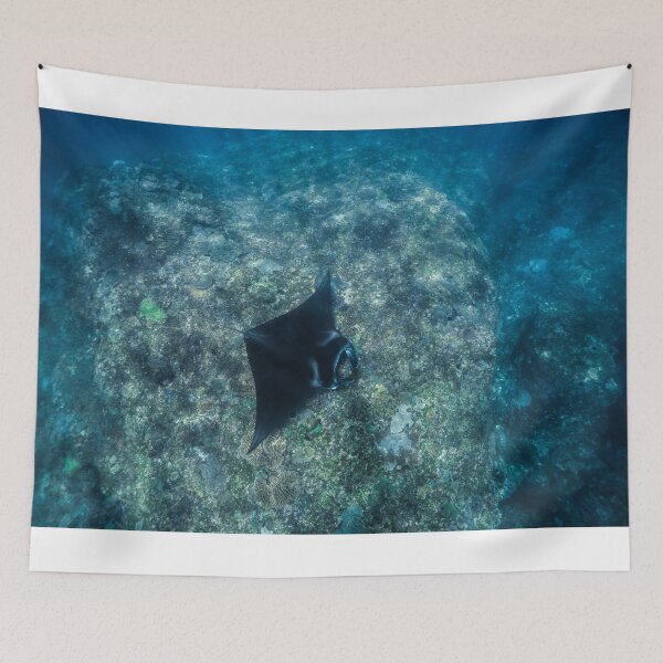 Item preview, Reef Manta Ray designed and sold by Ollieunderwater.