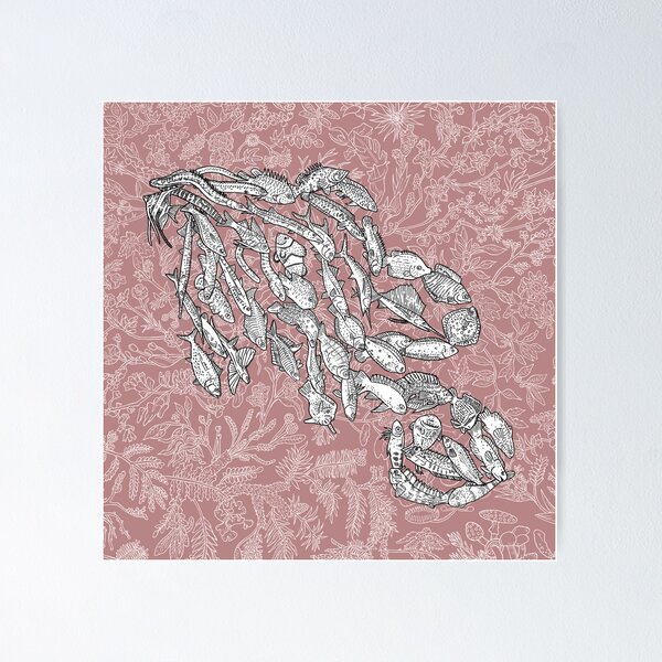 Item preview, Carangimorpharia - Fish - Evolution - Pink Background designed and sold by EvolutionPoster.